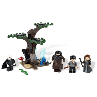 the forbidden forest