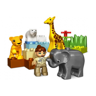 baby zoo