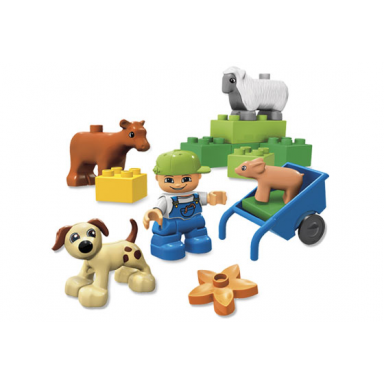 animals