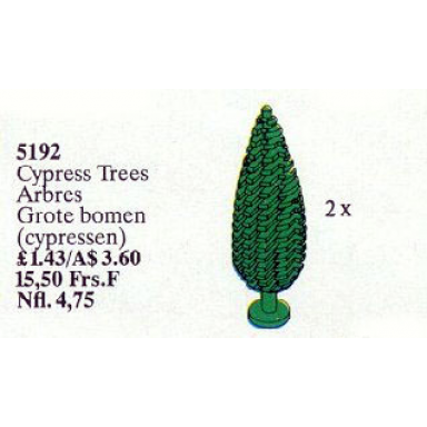cypress trees