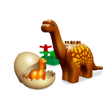dino birthday