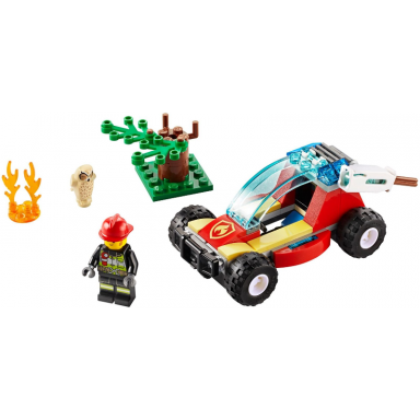 forest fire