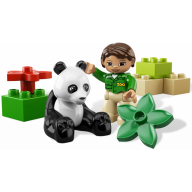 panda