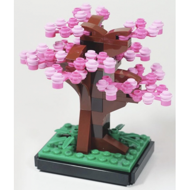 sakura tree