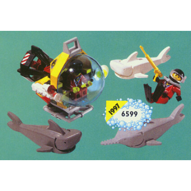 shark attack