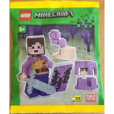 end warrior with shulker and chorus plant paper bag