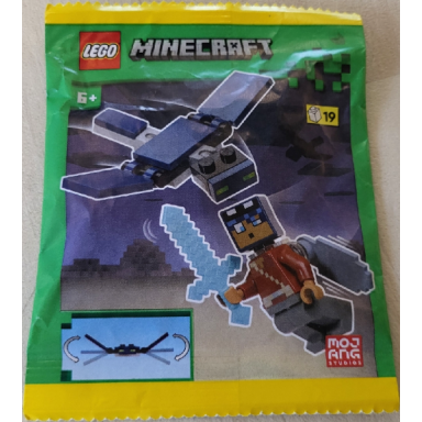 hero with elytra and phantom paper bag