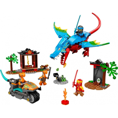 ninja dragon temple