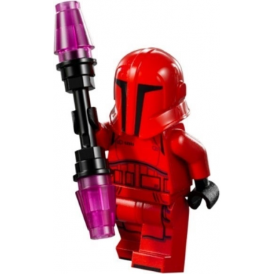 advent calendar 2024 star wars day 20 - praetorian guard