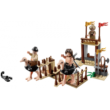 the ostrich race