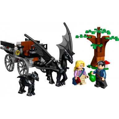hogwarts carriage and thestrals