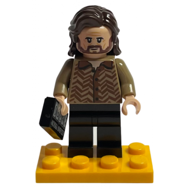 advent calendar 2022 harry potter day 9 - sirius black with azkaban plaque