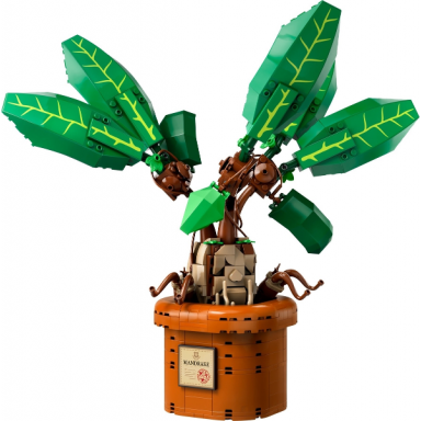 mandrake