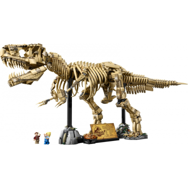 dinosaur fossils: tyrannosaurus rex