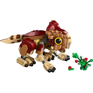 baby dinosaur dolores: aquilops