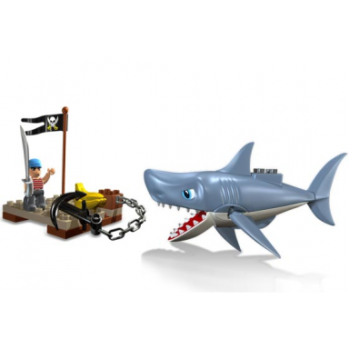shark attack