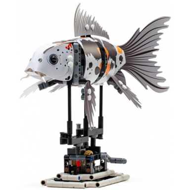 koi