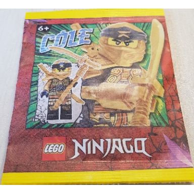 cole paper bag 1