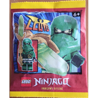 lloyd paper bag 1