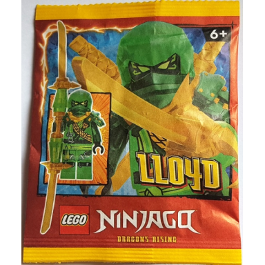 lloyd paper bag 2