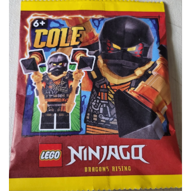 cole paper bag 2