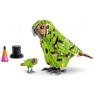 kakapo