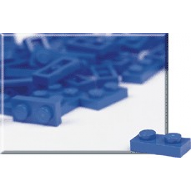1 x 2 blue plates pack of 100