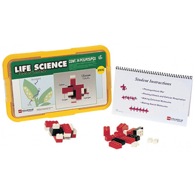 photosynthesis student set