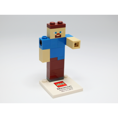 steve - minecon 2013 exclusive build