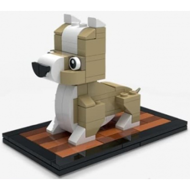 welsh corgi