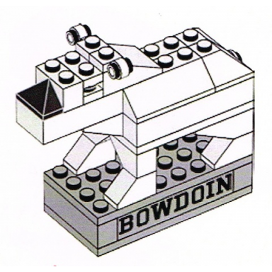 polar bear - bowdoin college exclusive