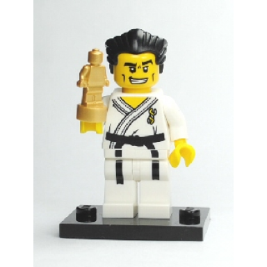 karate master series 2 complete set with stand and accessories