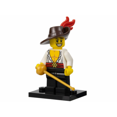 swashbuckler series 12 complete set with stand and accessories
