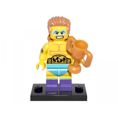 wrestling champion series 15 complete set with stand and accessories