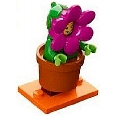 flowerpot girl series 18 complete set with stand and accessories