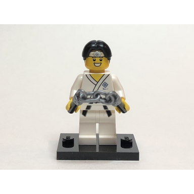 martial arts boy series 20 complete set with stand and accessories
