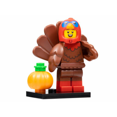 turkey costume series 23 complete set with stand and accessories