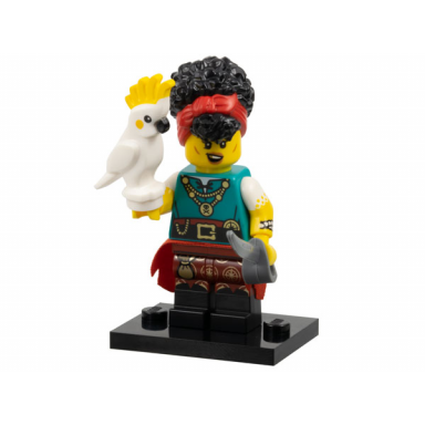 pirate quartermaster series 27 complete set with stand and accessories