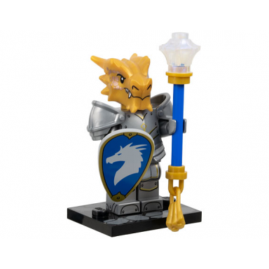 dragonborn paladin dungeons dragons complete set with stand and accessories