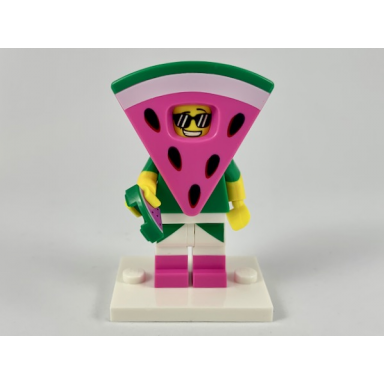 watermelon dude the lego movie 2 complete set with stand and accessories