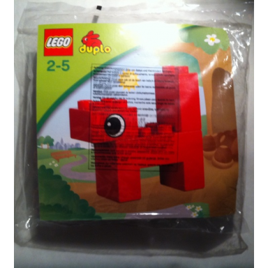 squirrel polybag
